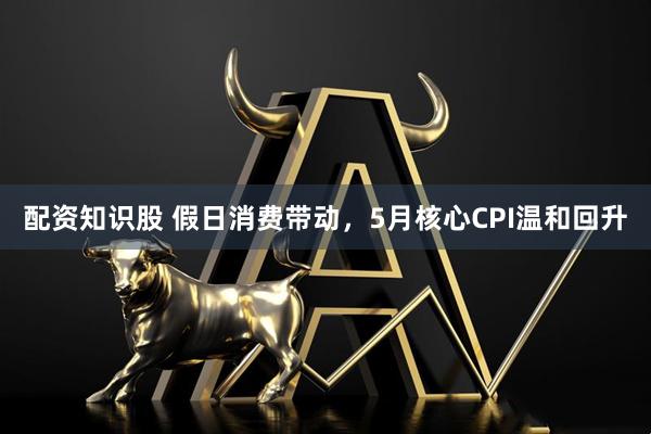 配资知识股 假日消费带动，5月核心CPI温和回升